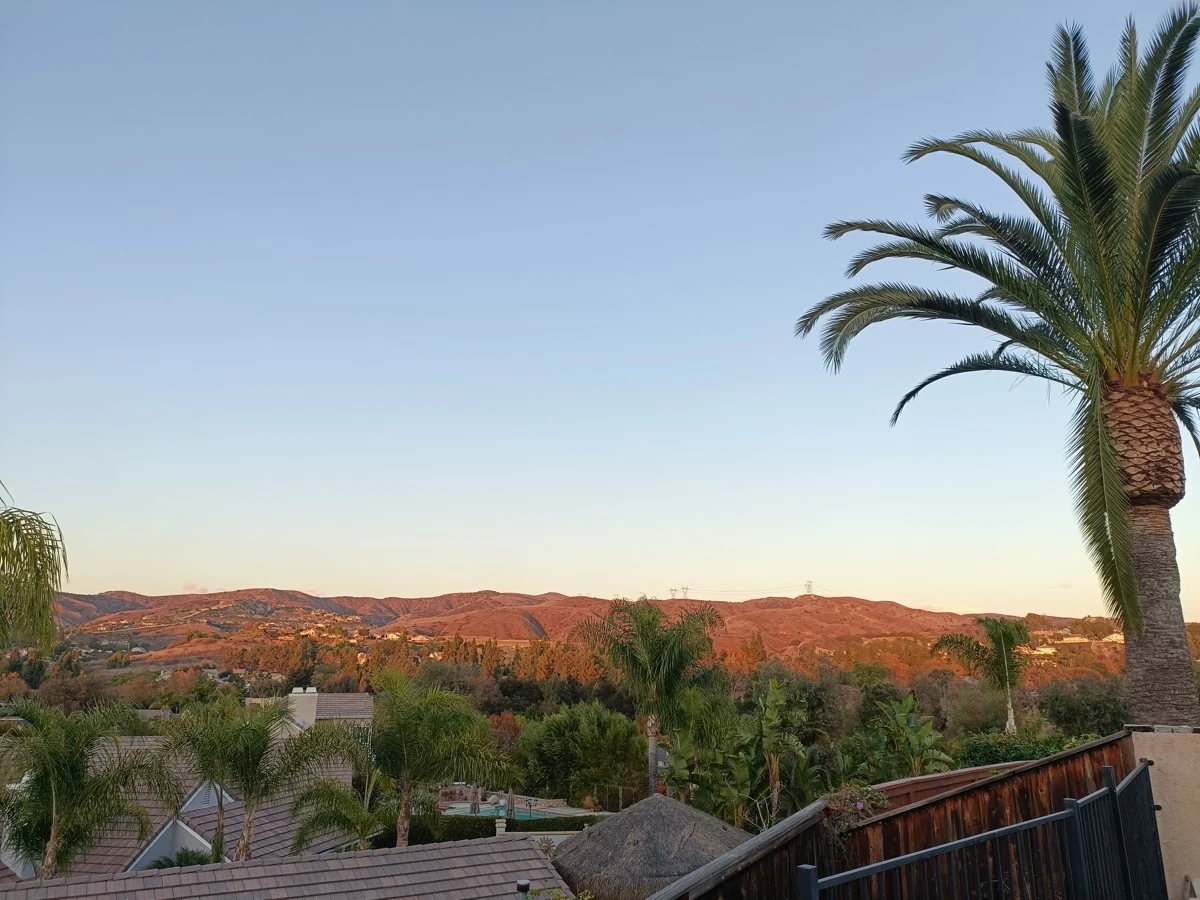 Palm trees and Yorba Linda hills glowing in the evening light