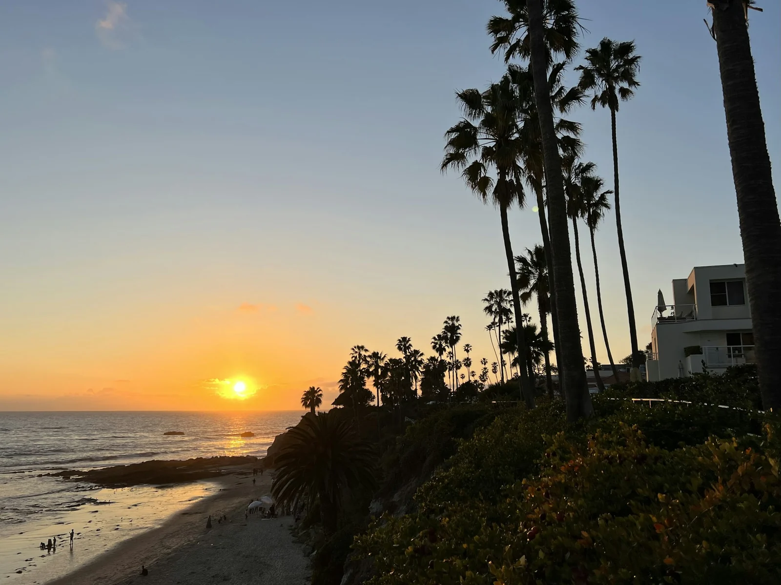 A palm-lined stretch of the Orange County coast in Laguna Beach