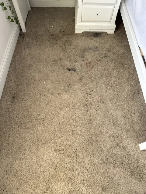 Fitted bedroom carpet before cleaning: Dark spots and traffic marks across the carpet beside white bedroom furniture.