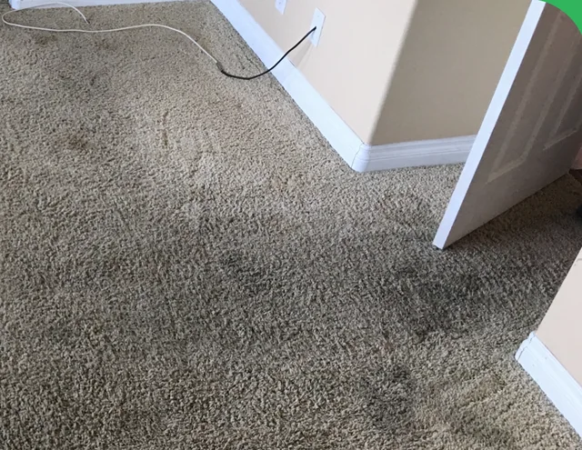 Carpet at a bedroom doorway before cleaning: A dark traffic path around the doorway and wall corner.