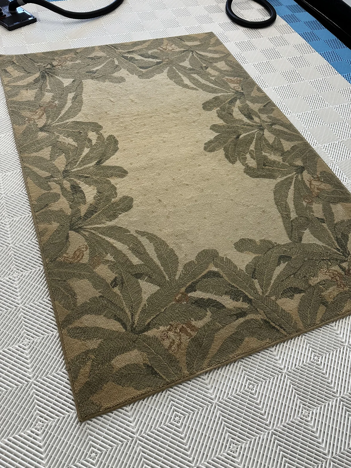Botanical-patterned area rug after cleaning: A cleaner-looking center and a clearer view of the rug’s botanical border.