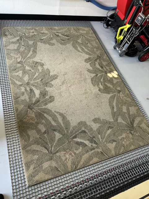 Botanical-patterned area rug before cleaning: A patterned rug with visible spots across its pale central field.