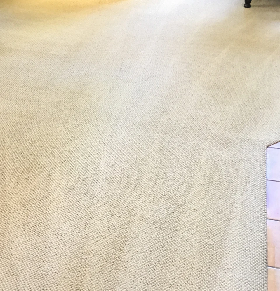 Fitted carpet beside a tile threshold after cleaning: A more even-looking carpet surface along the same tile threshold.