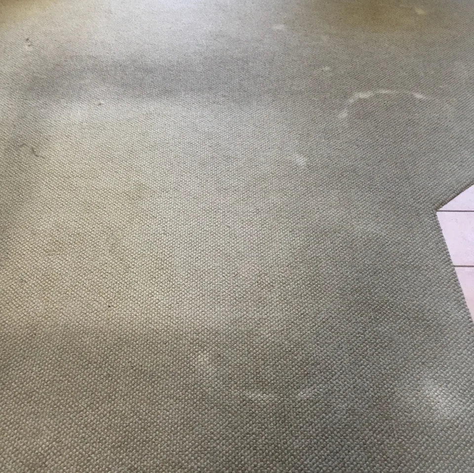 Fitted carpet beside a tile threshold before cleaning: Darker patches and visible spots across the carpet beside a tile edge.