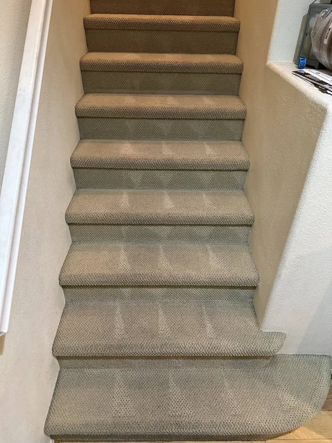 Carpeted staircase after cleaning: A lighter-looking staircase, with cleaner-looking treads and visible grooming lines.