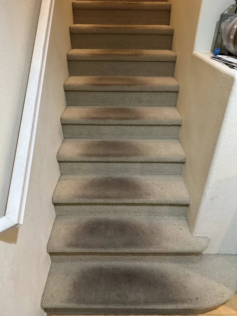 Carpeted staircase before cleaning: Prominent dark traffic areas on a curved staircase.