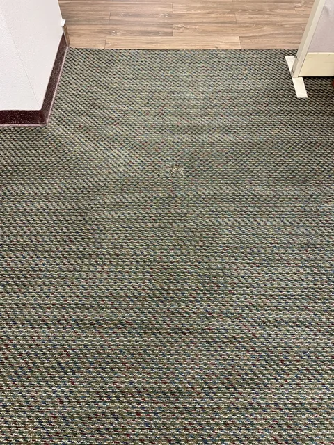 Patterned commercial carpet after cleaning: The carpet pattern is more visible through the same entrance.