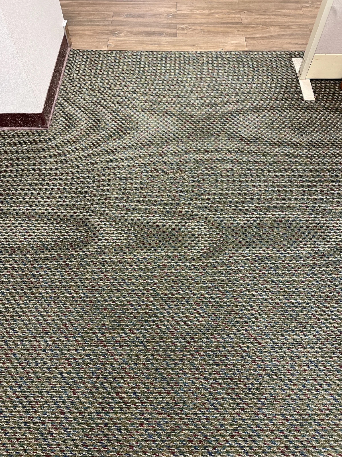 Patterned commercial carpet after cleaning: The carpet pattern is more visible through the same entrance.