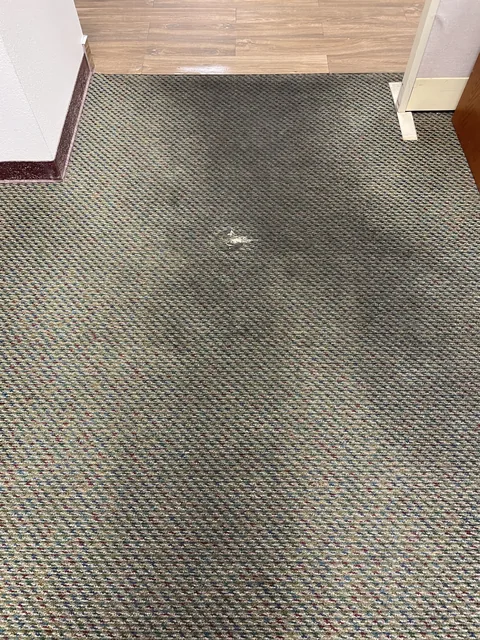 Patterned commercial carpet before cleaning: A large dark traffic patch on the carpet at a doorway.