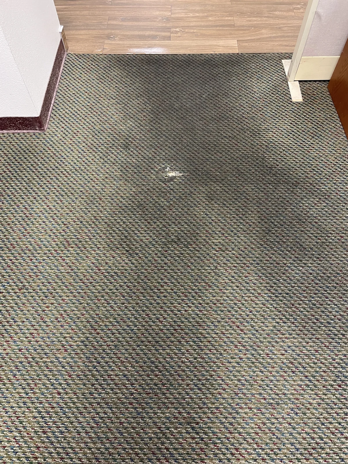 Patterned commercial carpet before cleaning: A large dark traffic patch on the carpet at a doorway.