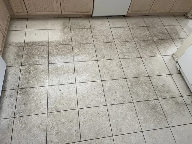 Square floor tile and grout before cleaning: Darkened grout lines and visible soil across a kitchen floor.
