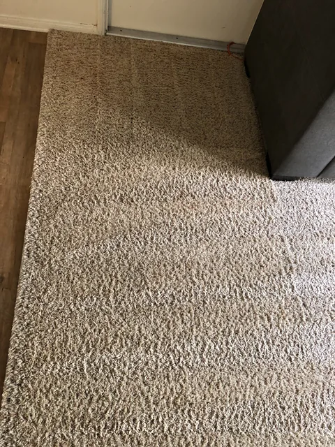 Fitted carpet beside a sofa after cleaning: The same area with fewer visible spots and a more consistent appearance.