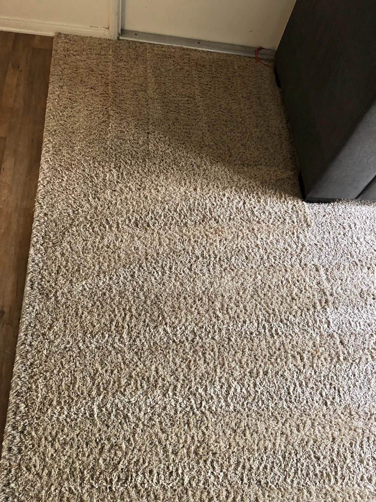 Fitted carpet beside a sofa after cleaning: The same area with fewer visible spots and a more consistent appearance.