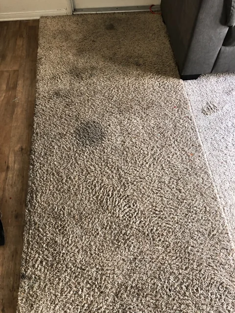 Fitted carpet beside a sofa before cleaning: Several dark spots on the carpet between a sofa and a plank-floor edge.