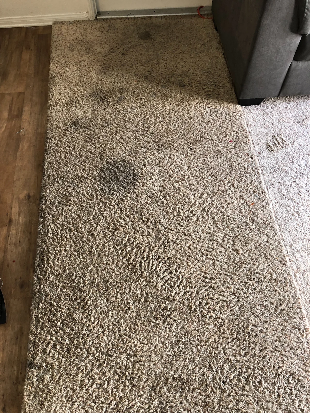 Fitted carpet beside a sofa before cleaning: Several dark spots on the carpet between a sofa and a plank-floor edge.