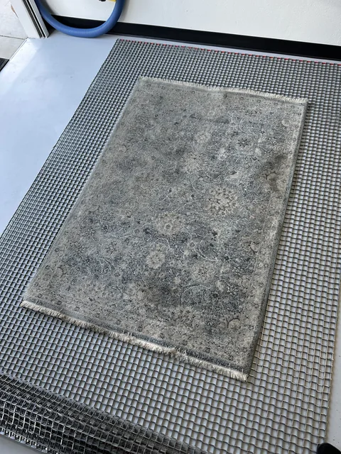 Blue and cream patterned area rug before cleaning, photographed on a cleaning-area platform.