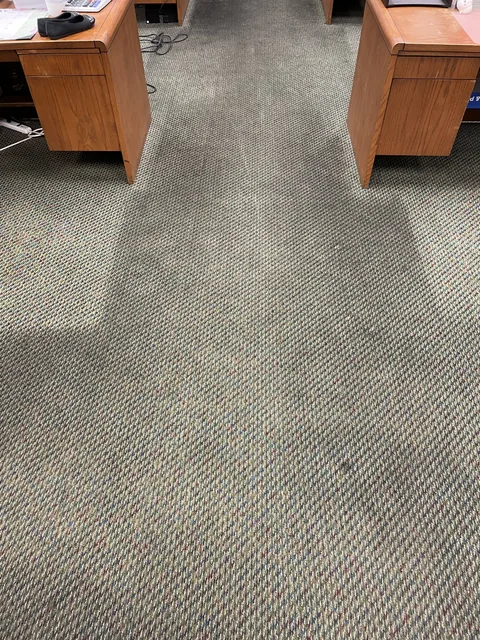 Commercial carpet before cleaning: Dark traffic marks interrupting the pattern of an office carpet.