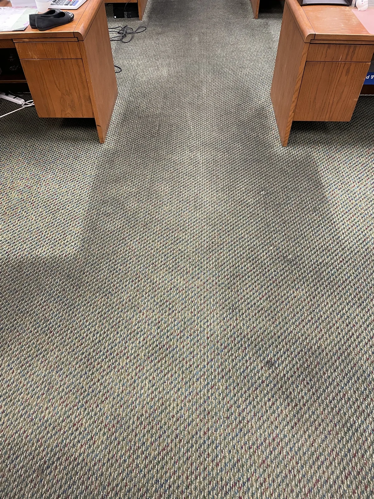 Commercial carpet before cleaning: Dark traffic marks interrupting the pattern of an office carpet.
