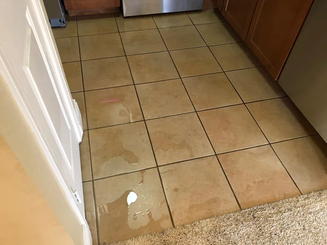 Square kitchen tile and grout before cleaning: Dark grout outlines around the tile between the kitchen appliances.