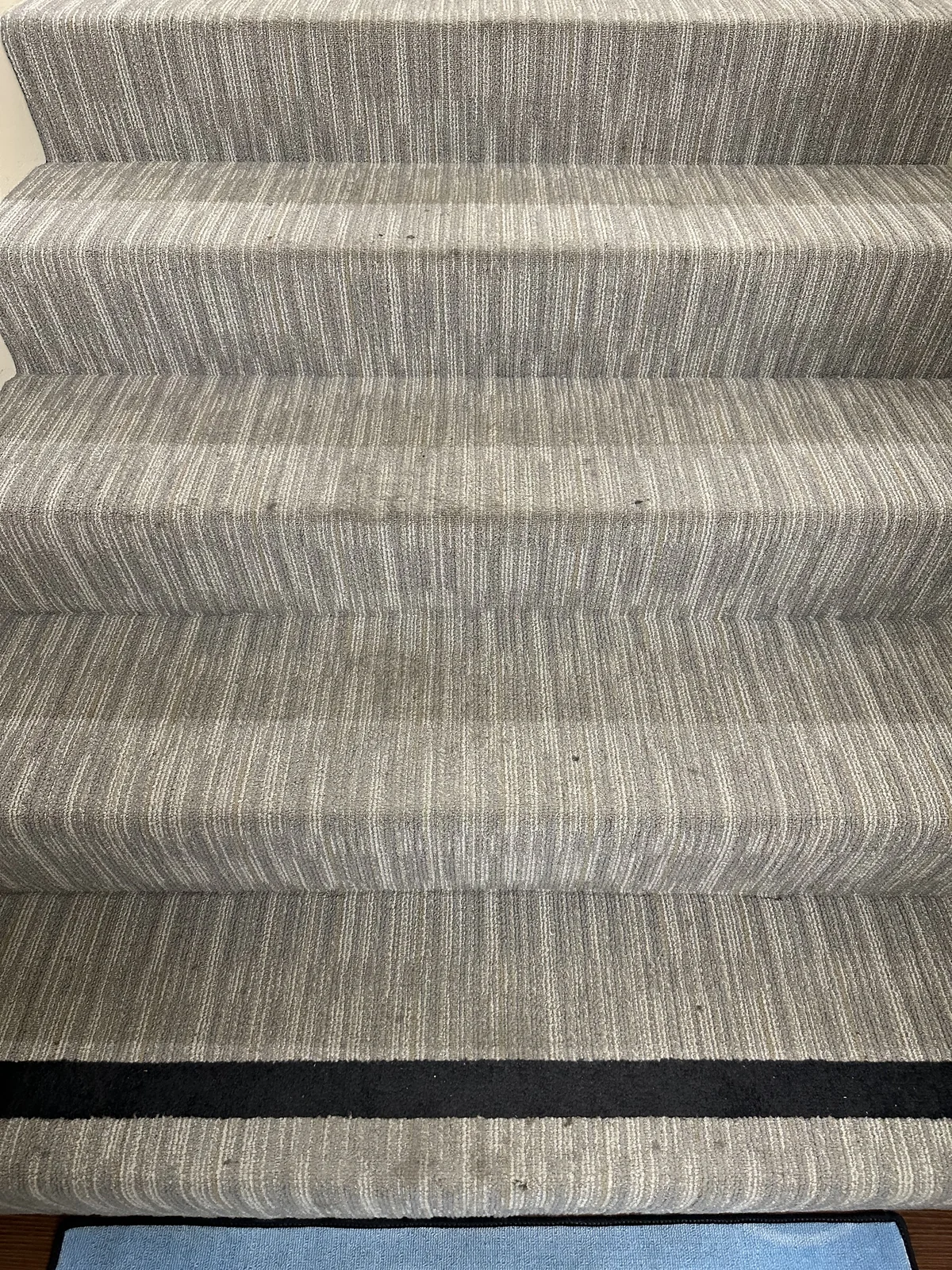 Striped stair carpet before cleaning: Small visible specks on the treads of a striped carpeted staircase.