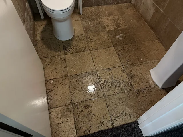 Tan bathroom floor tile and grout before cleaning: Dark speckling and soiling across tan tiles around the bathroom fixtures.